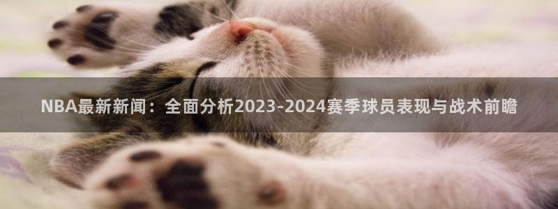 NBA最新新闻：全面分析2023-2024赛季球员表现与战术前瞻