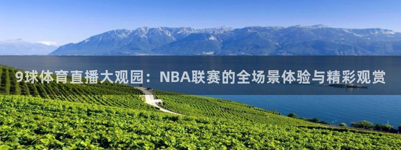 9球体育直播大观园：NBA联赛的全场景体验与精彩观赏
