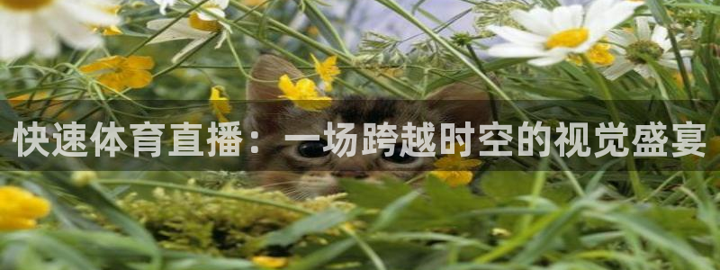 快速体育直播：一场跨越时空的视觉盛宴