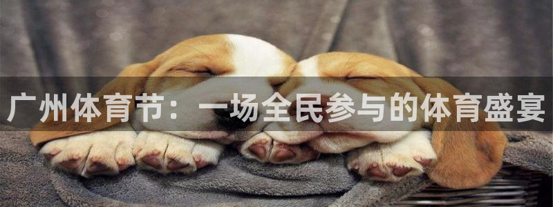 广州体育节：一场全民参与的体育盛宴