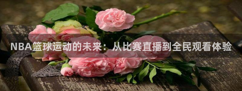 NBA篮球运动的未来：从比赛直播到全民观看体验