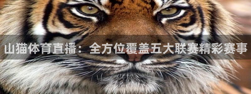 山猫体育直播：全方位覆盖五大联赛精彩赛事