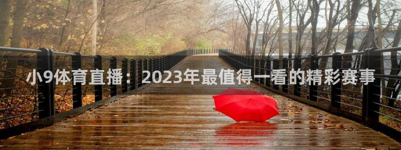 小9体育直播：2023年最值得一看的精彩赛事