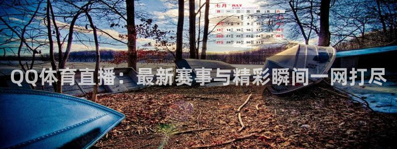 QQ体育直播：最新赛事与精彩瞬间一网打尽