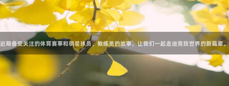 近期备受关注的体育赛事和明星球员、教练员的故事，让我们一起走进竞技世界的新篇章。