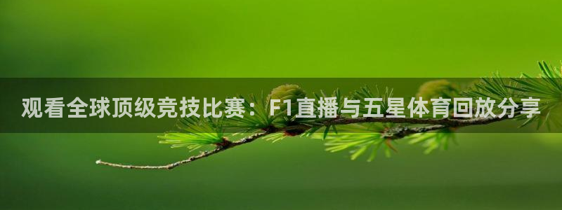 观看全球顶级竞技比赛：F1直播与五星体育回放分享