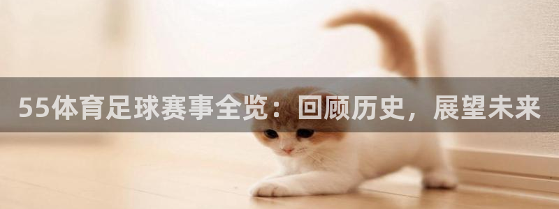 55体育足球赛事全览：回顾历史，展望未来