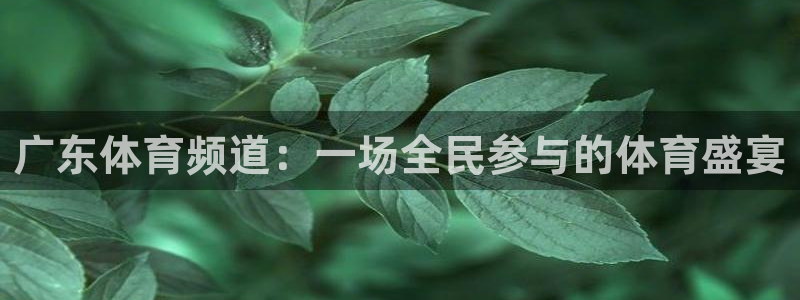 广东体育频道：一场全民参与的体育盛宴