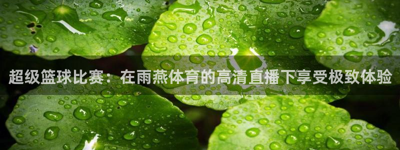 超级篮球比赛：在雨燕体育的高清直播下享受极致体验