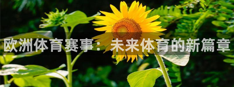 欧洲体育赛事：未来体育的新篇章