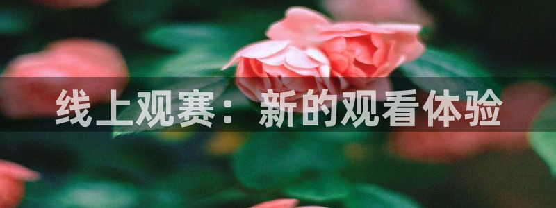 线上观赛：新的观看体验