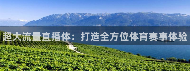 超大流量直播体：打造全方位体育赛事体验