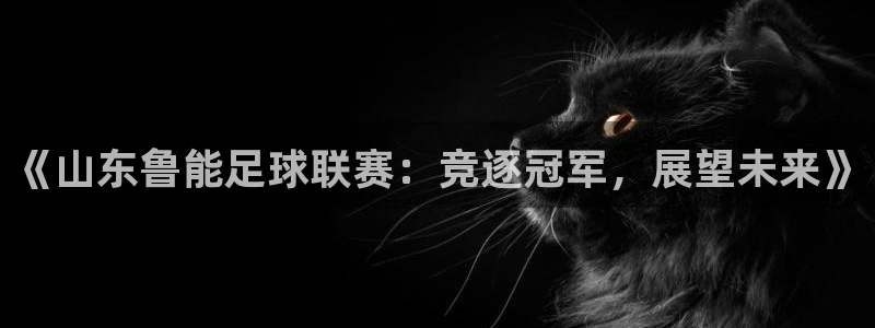 《山东鲁能足球联赛：竞逐冠军，展望未来》