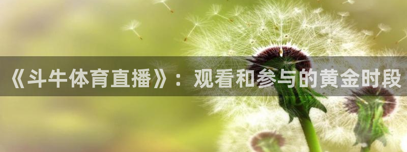 《斗牛体育直播》：观看和参与的黄金时段