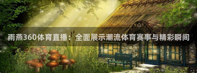 雨燕360体育直播：全面展示潮流体育赛事与精彩瞬间