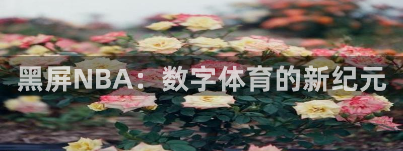 黑屏NBA：数字体育的新纪元
