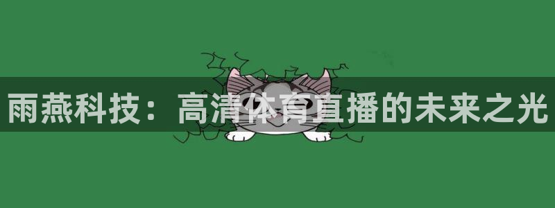 雨燕科技：高清体育直播的未来之光