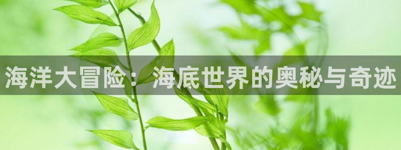海洋大冒险：海底世界的奥秘与奇迹
