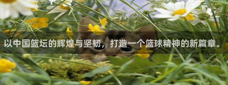 以中国篮坛的辉煌与坚韧，打造一个篮球精神的新篇章。