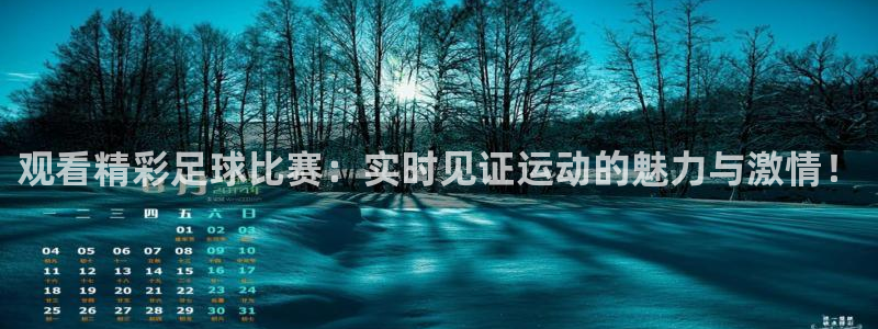 观看精彩足球比赛：实时见证运动的魅力与激情！