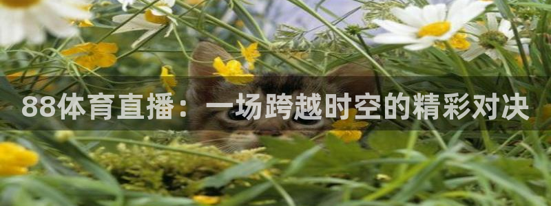 88体育直播：一场跨越时空的精彩对决