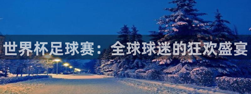 世界杯足球赛：全球球迷的狂欢盛宴