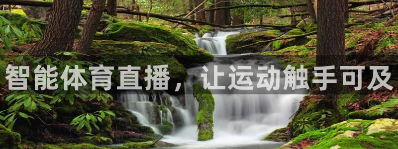 智能体育直播，让运动触手可及