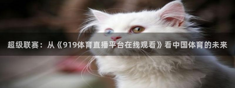 超级联赛：从《919体育直播平台在线观看》看中国体育的未来