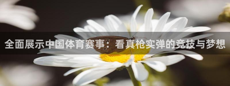 全面展示中国体育赛事：看真枪实弹的竞技与梦想