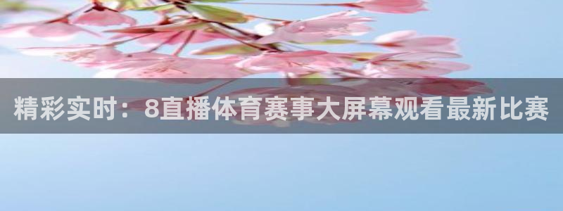 精彩实时：8直播体育赛事大屏幕观看最新比赛