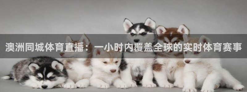 澳洲同城体育直播：一小时内覆盖全球的实时体育赛事