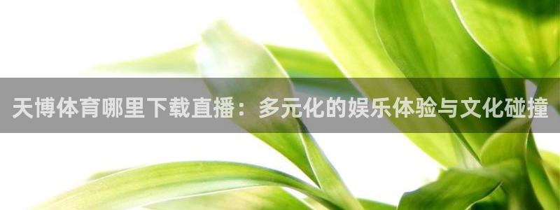 天博体育哪里下载直播：多元化的娱乐体验与文化碰撞
