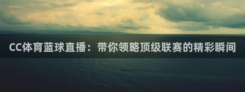 CC体育蓝球直播：带你领略顶级联赛的精彩瞬间