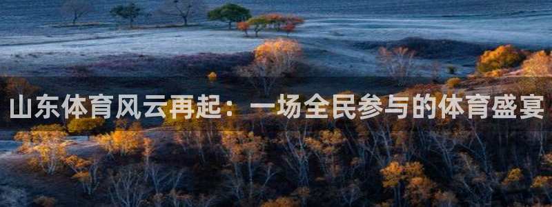 山东体育风云再起：一场全民参与的体育盛宴
