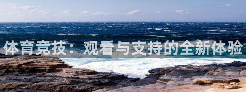 体育竞技：观看与支持的全新体验