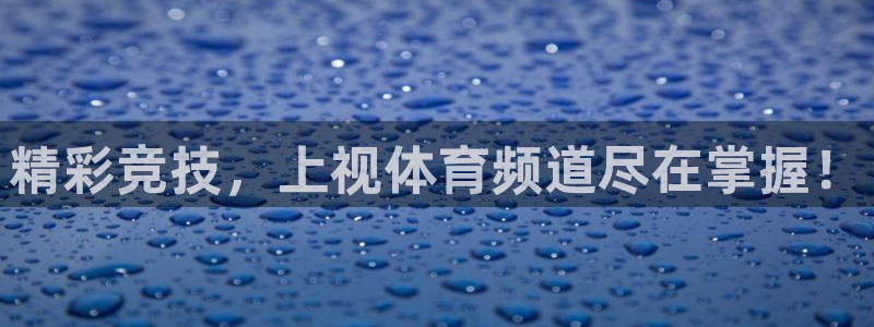 精彩竞技，上视体育频道尽在掌握！