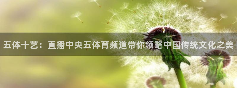 五体十艺：直播中央五体育频道带你领略中国传统文化之美