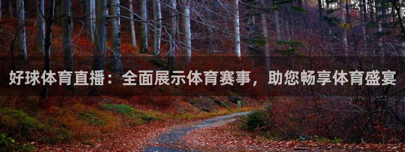 好球体育直播：全面展示体育赛事，助您畅享体育盛宴