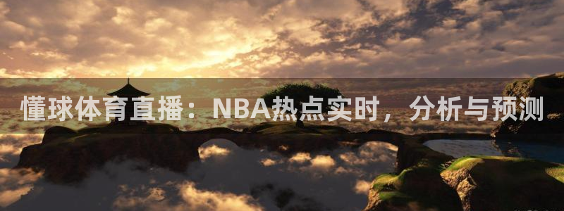 懂球体育直播：NBA热点实时，分析与预测