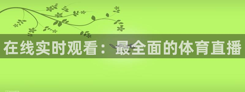 在线实时观看：最全面的体育直播