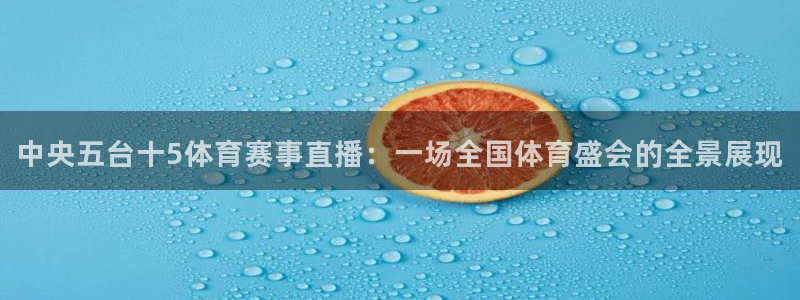 中央五台十5体育赛事直播：一场全国体育盛会的全景展现