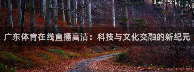 广东体育在线直播高清：科技与文化交融的新纪元