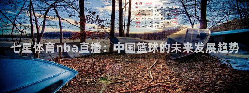 七星体育nba直播：中国篮球的未来发展趋势