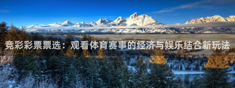 竞彩彩票票选：观看体育赛事的经济与娱乐结合新玩法