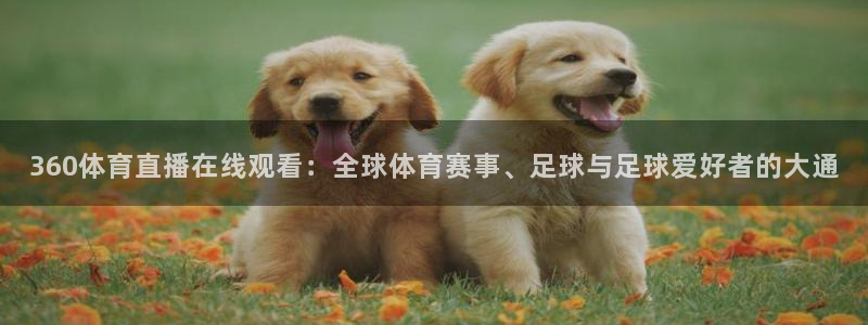 360体育直播在线观看：全球体育赛事、足球与足球爱好者的大通