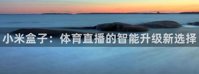 小米盒子：体育直播的智能升级新选择