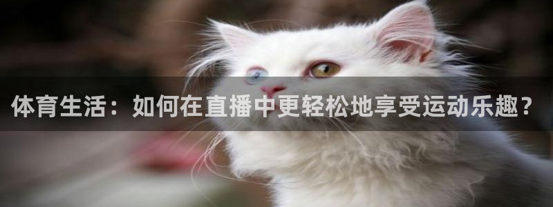 体育生活：如何在直播中更轻松地享受运动乐趣？