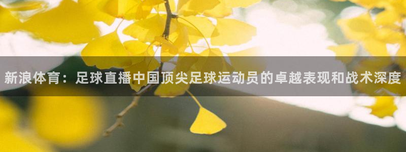 新浪体育：足球直播中国顶尖足球运动员的卓越表现和战术深度
