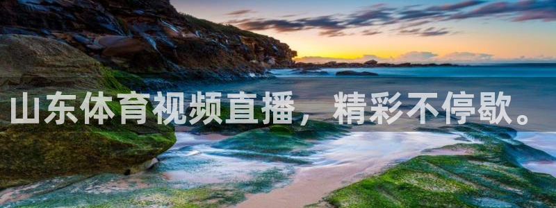 山东体育视频直播，精彩不停歇。
