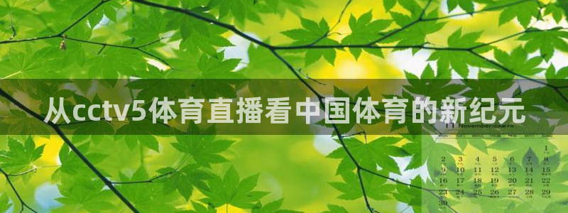从cctv5体育直播看中国体育的新纪元